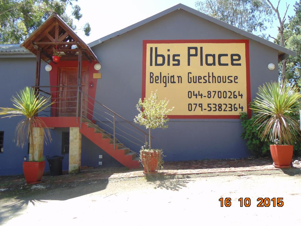 Ibis Place Guest House George Zimmer foto